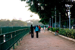 People walking along boardwalk