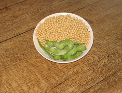Soy and edamame beans