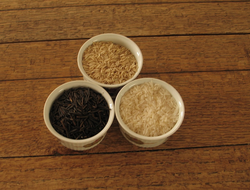 rice brown uncooked versus wild