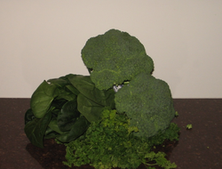 Green leafy vegetables contain beneficial phytochemicals