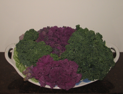 Kale and other vegetables contain antioxidants