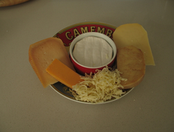 Cheese is a fermented food