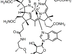 The chemical structure of cobalamin