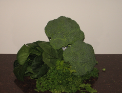 Dark green leafy vegetables are good sources of antioxidants