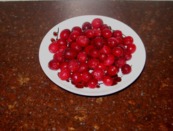 1 cup of fresh cranberries