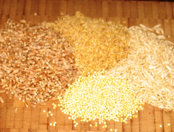 Wheat, bulgur, basmati rice and millet